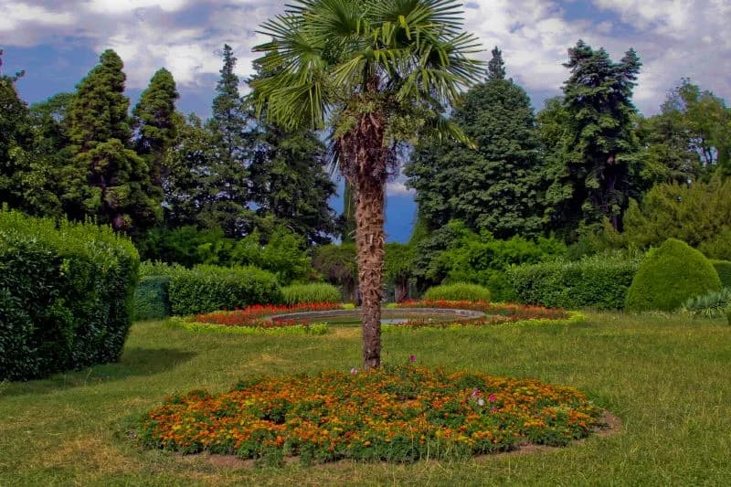 Palmen, Blumenbeete und alte Bäume im Garten von Tsinandali.
