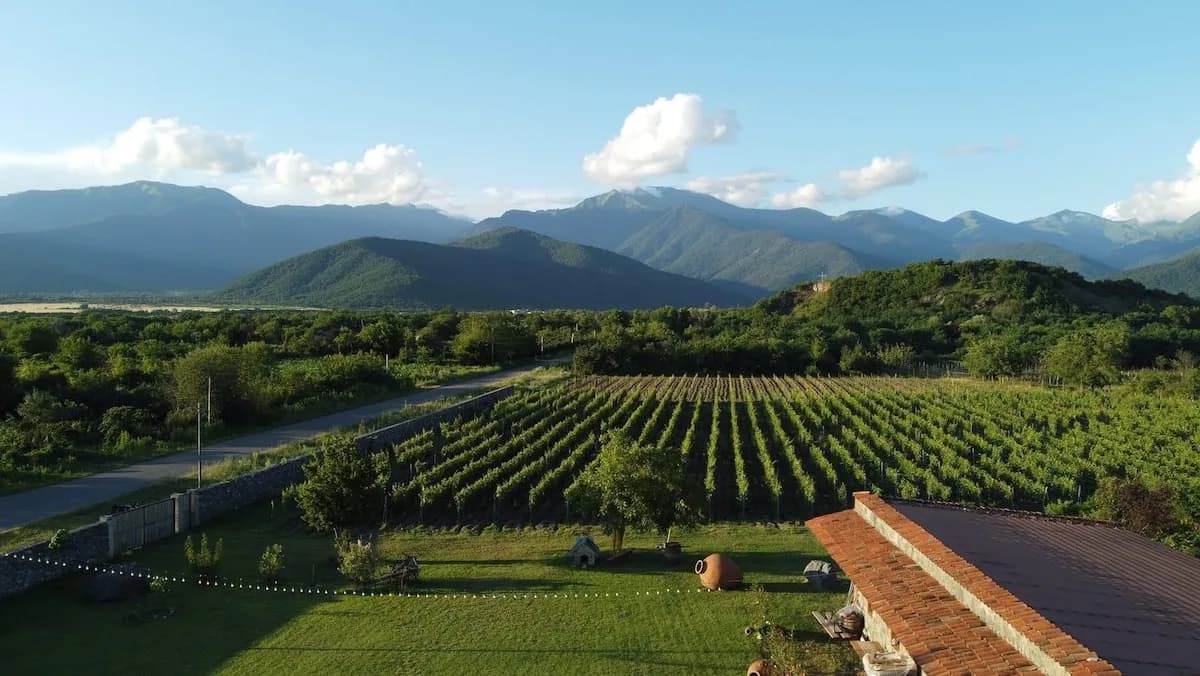 Weinberge und Bergpanorama bei Chubini Winery & Cabins